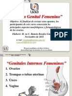Sistema Genital Femenino PDF