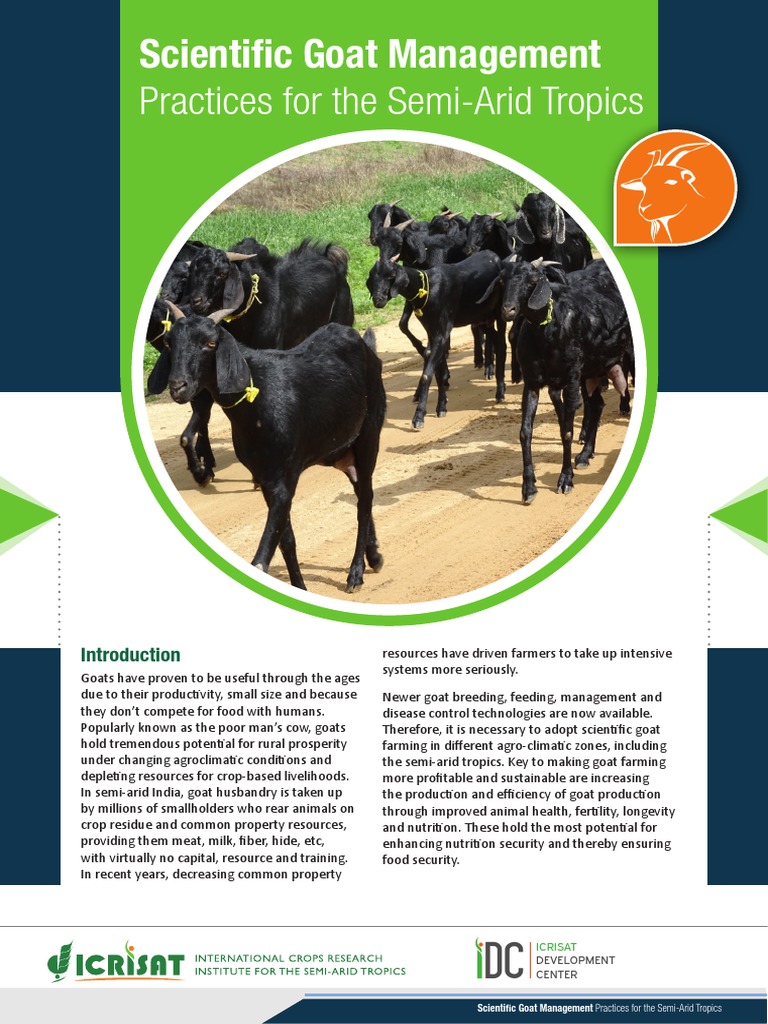 Flyer Goat Management Final | Download Free PDF | Goat | Agriculture