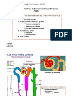 Exploration Biochimique Rénale