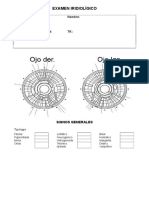 Examen Iridiolígico