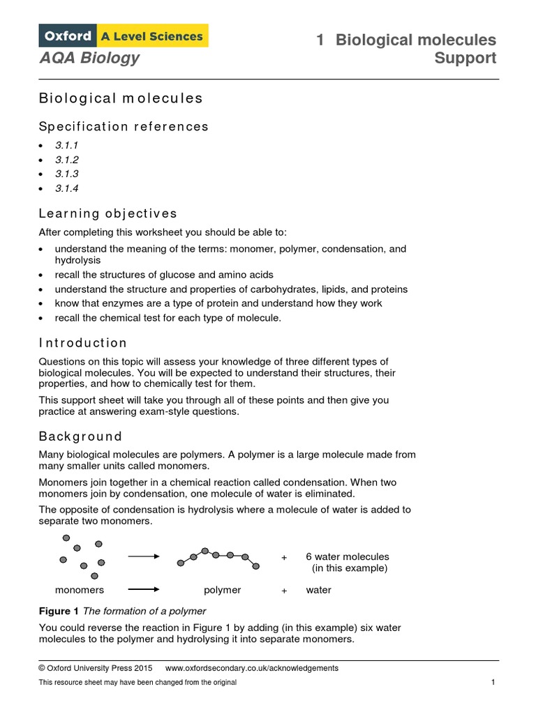 AQA Biology: 1 Biological Molecules Support | PDF | Active Site | Enzyme