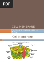 Cell Membrane: Function and Structure Grade 11 Biology