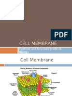Cell Membrane: Function and Structure Grade 11 Biology
