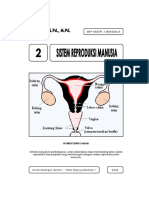 2-reproduksi-manusia.pdf