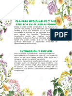 Plantas Medicinales y Sus Efectos en El Ser Humano