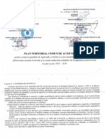 PLAN_TERITORIAL_COMUN_DE  ACTIUNE.pdf