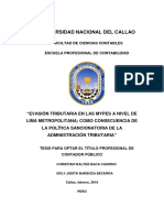 TESIS - Evasion Tributaria en Las MYPEs de Lima Metropolitana, Como Consecuencia de La Politica Sancionatoria de SUNAT