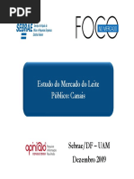 Relatorio Pesquisa de Mercado Leite Canais completa DF.pdf