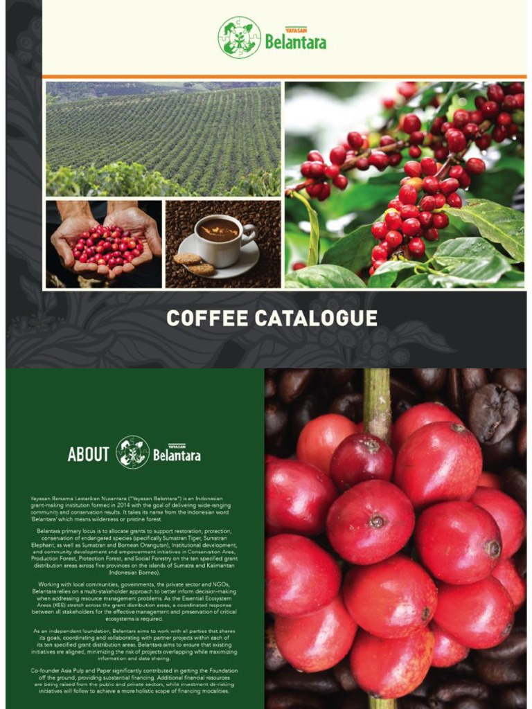 Katalog Kopi Resource | PDF