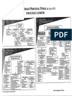 cpp flujograma proceso comun resumen.pdf