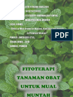 Fitoterapi Mual Muntah