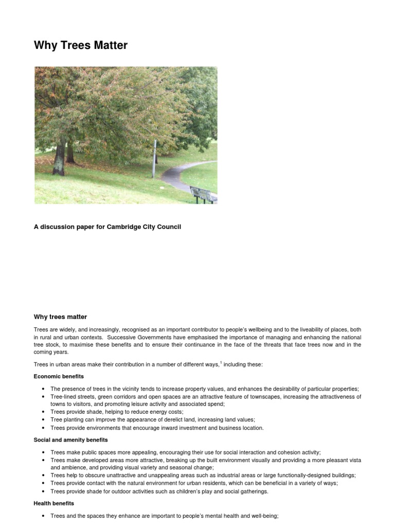 Why Trees Matter | PDF | Green Infrastructure | Trees