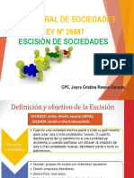 Escision de Sociedades 21-10-19