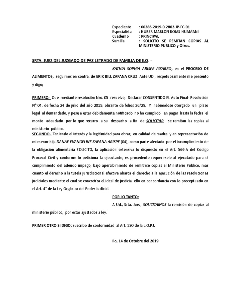 Modelo de Descargo de Papeleta de Infracción Al Transito | PDF