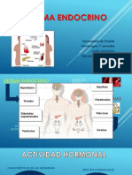 Sistema Endocrino