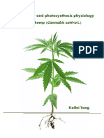 Agronomy and Photosynthesis Physiology of Hemp (Tang, 2018)