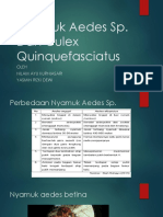 Tugas Kelompok 4 Nyamuk Aedes Sp. Dan Culex Quinquefasciatus