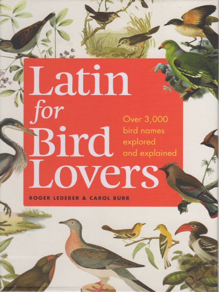 Latin Speed Dating Near Plover