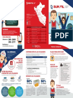 Triptico Utilidades PDF