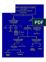 Diagrammes_Glucides_Important.pdf