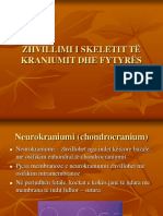 Zhvillimi I Skeletit TW Kraniumit Dhe Fytyrws-Ligj5