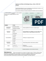 Apuntes de Histologia Vegetal