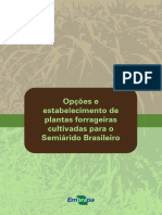 FORRAGEM SEMI-ÁRIDO.pdf
