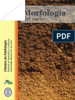 Morfologia 2017.pdf