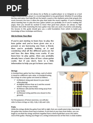 Bass Basics.pdf