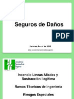 Academia Nacional de Seguros - Incendio y Sustraccion Ilegitimappt