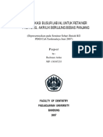 MKH Modif BSR Labial PDF