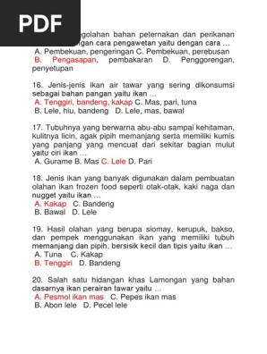Essay Prakarya Kls 9