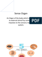 Sense Organ Final