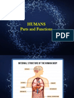 Human Parts and Function