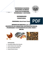 Último reporte de prácticas .pdf