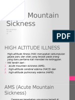 acute mountain sickness 