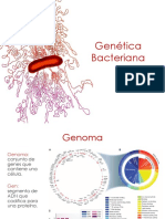 Genética bacteriana 