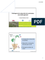 Fisiología de La Absorción de Nutrientes