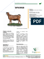 PDF Alpin Espagnole PDF