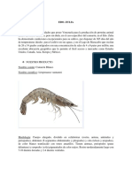 Estudio de Mercado del estado zulia y exportacion camaronera