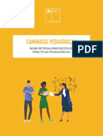 Caminatas Pedagógicas2019 PDF