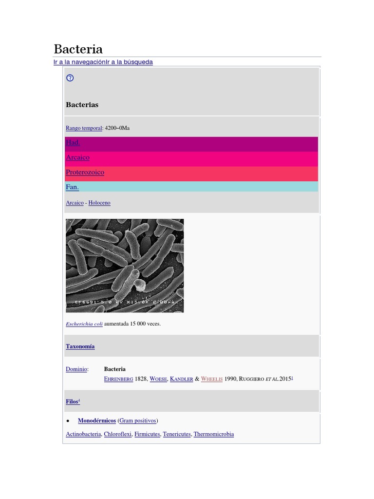 BACTERIA | PDF | Las bacterias | Archaea
