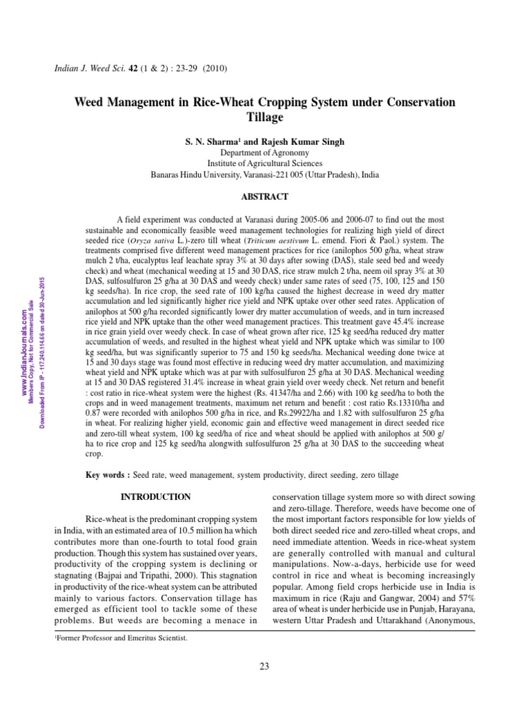 Weed Control in Rice-Wheat Systems | PDF | Wheat | Weed