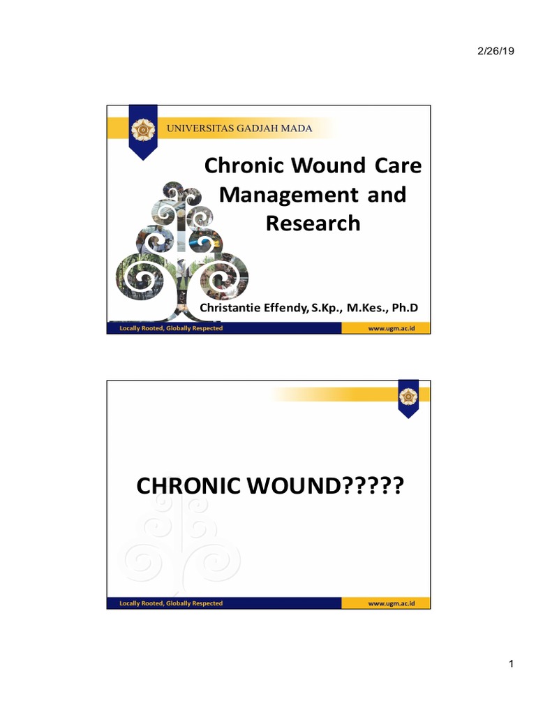 Chronic Wound Care Management and Research PDF Wound