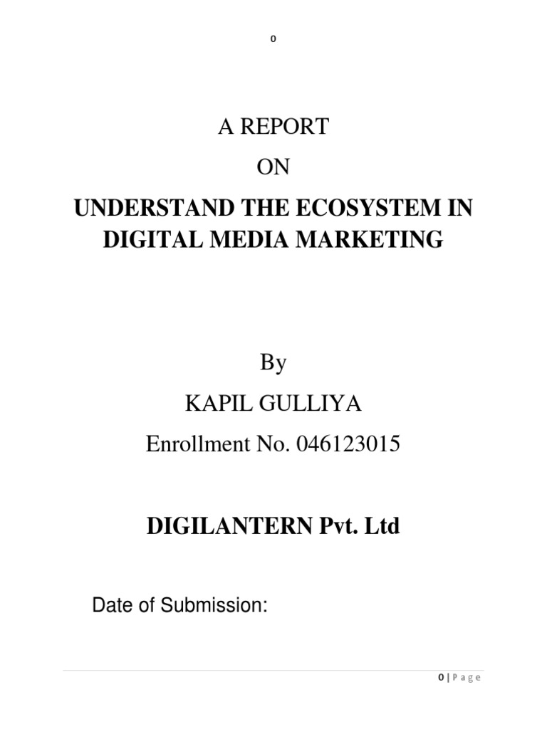 Digital Media Marketing Ecosystem Report | PDF | Search Engine ...