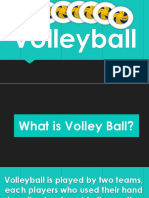 Volleyball