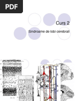 Curs 4 Lobii Cerebrali