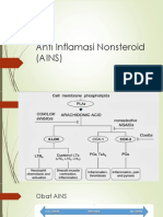Anti Inflamasi Nonsteroid (AINS) Kelompok 2