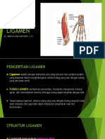 Part 2 Ligamen