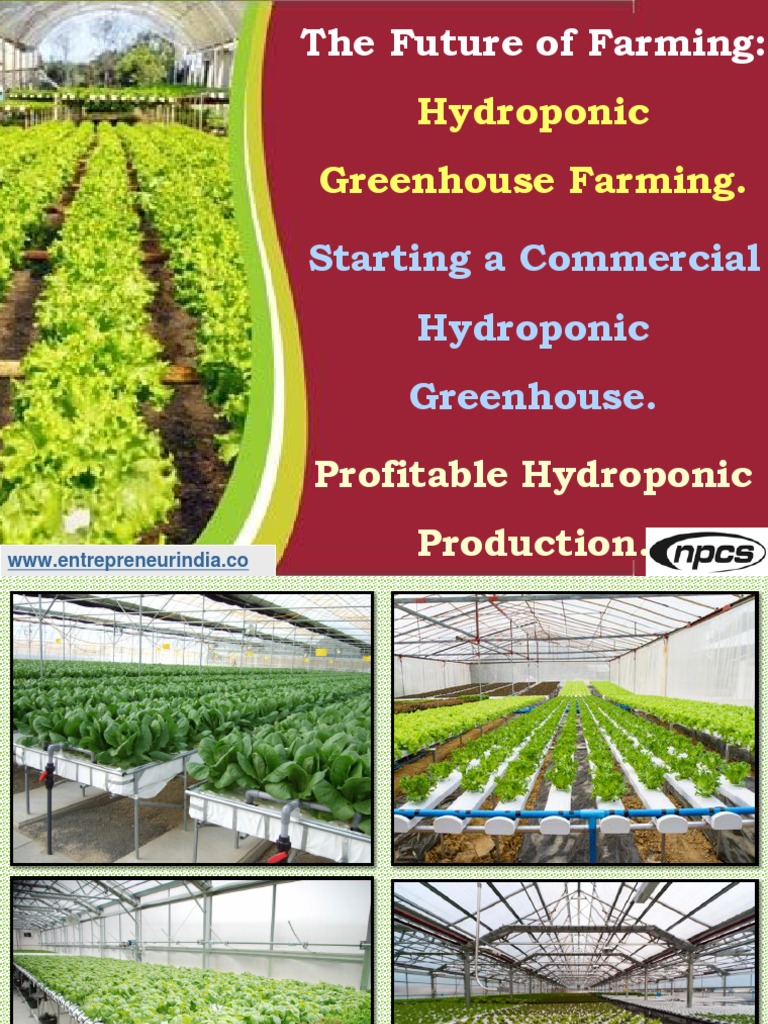 The Future of Farming. Hydroponic Greenhouse Farming. Starting A Commercial Hydroponic